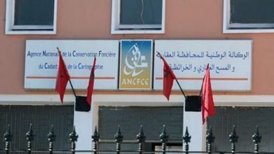 "المحافظة العقارية" تتبرع لضحايا الزلزال